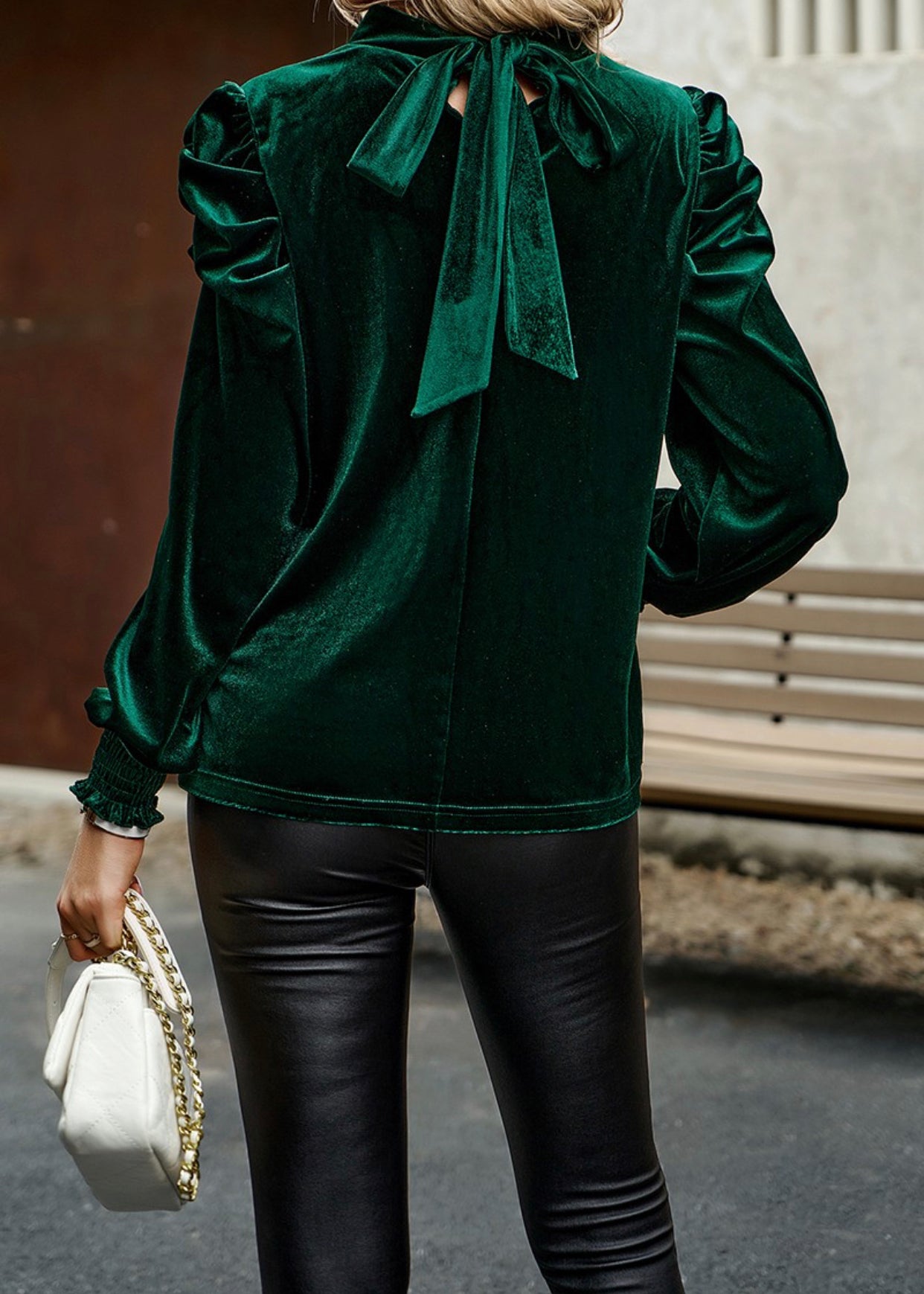 Solid Velvet Blouse